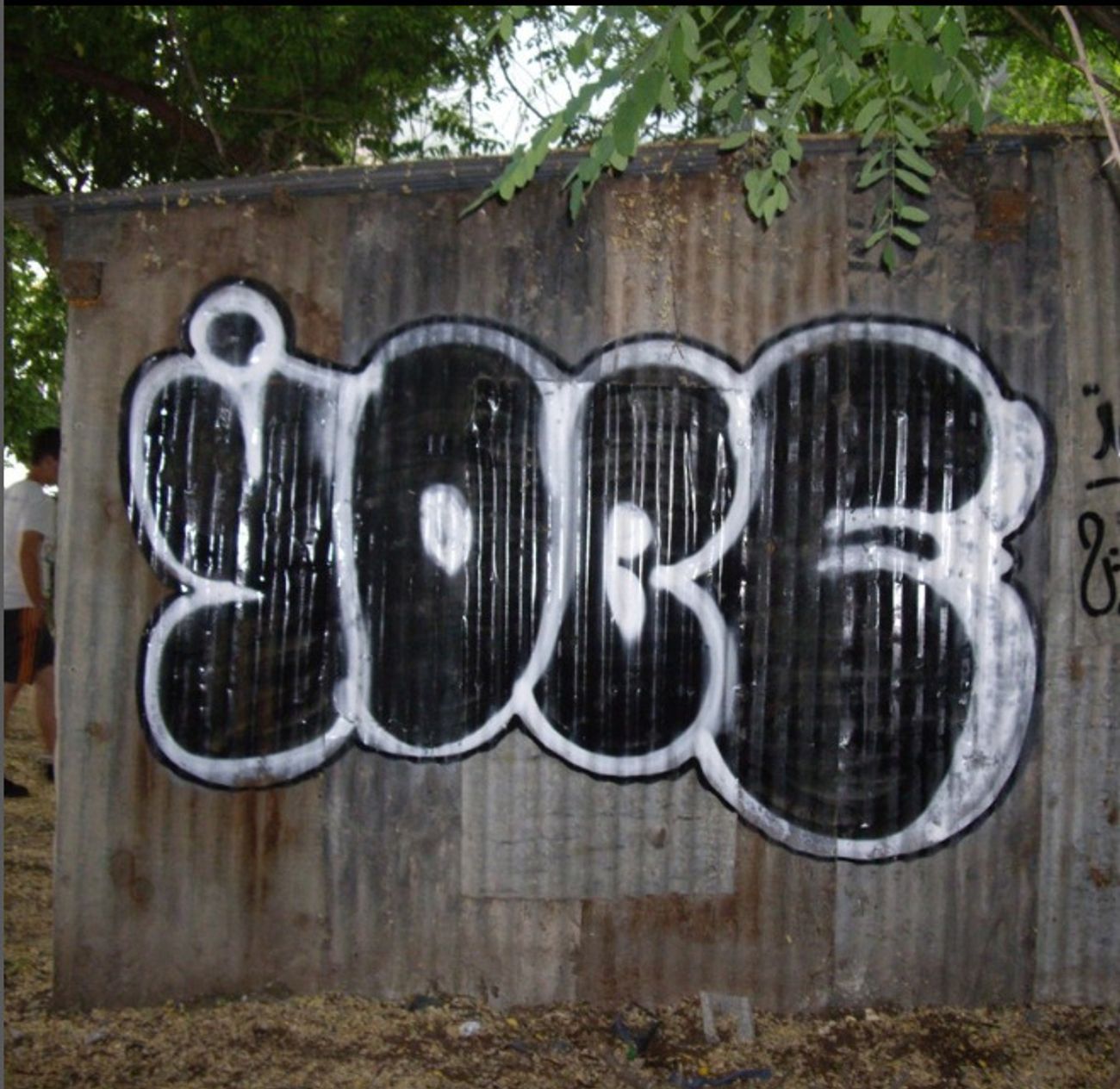 Photo #247177 by iobe1