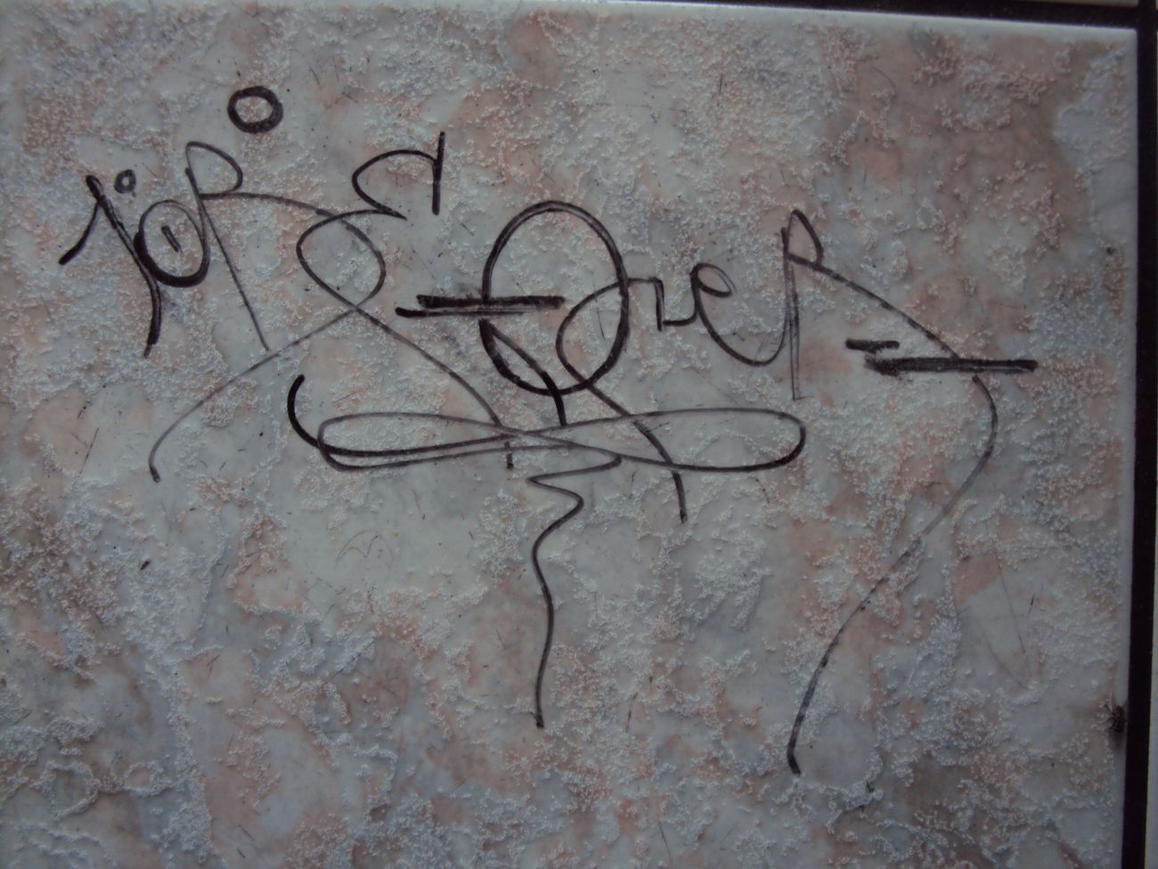 Photo #245667 by iobe1