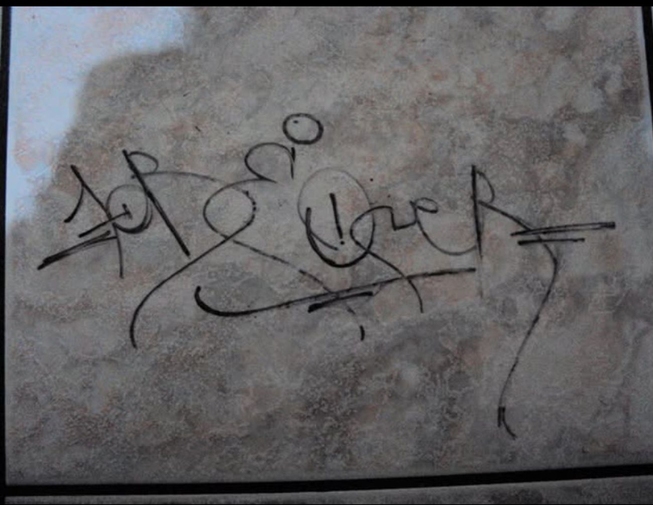 Photo #247569 by iobe1