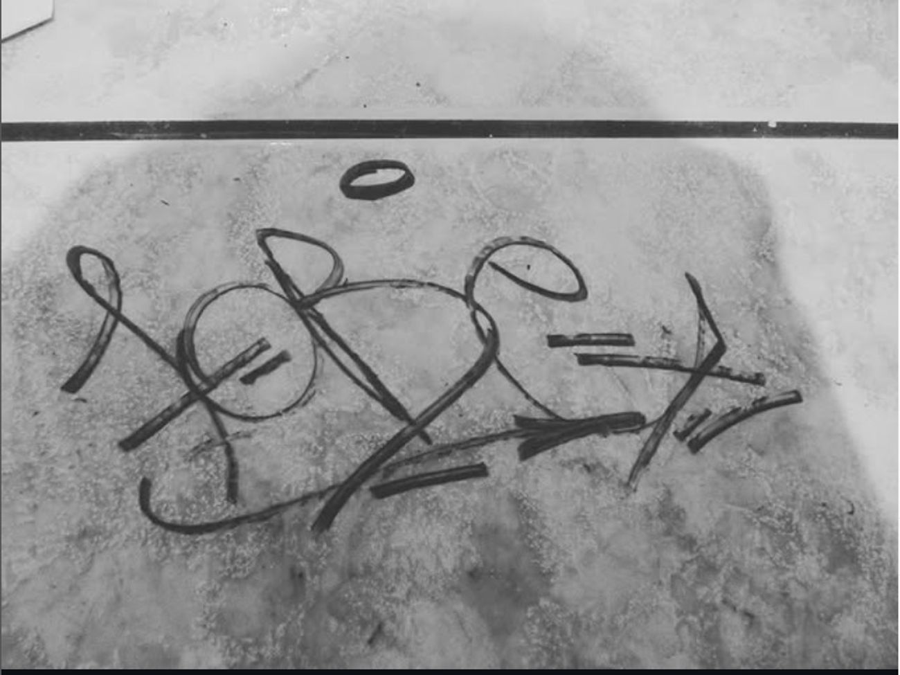 Photo #247716 by iobe1