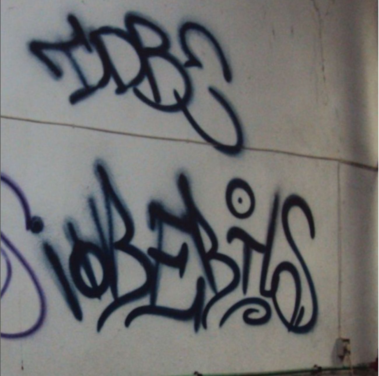 Photo #246209 by iobe1