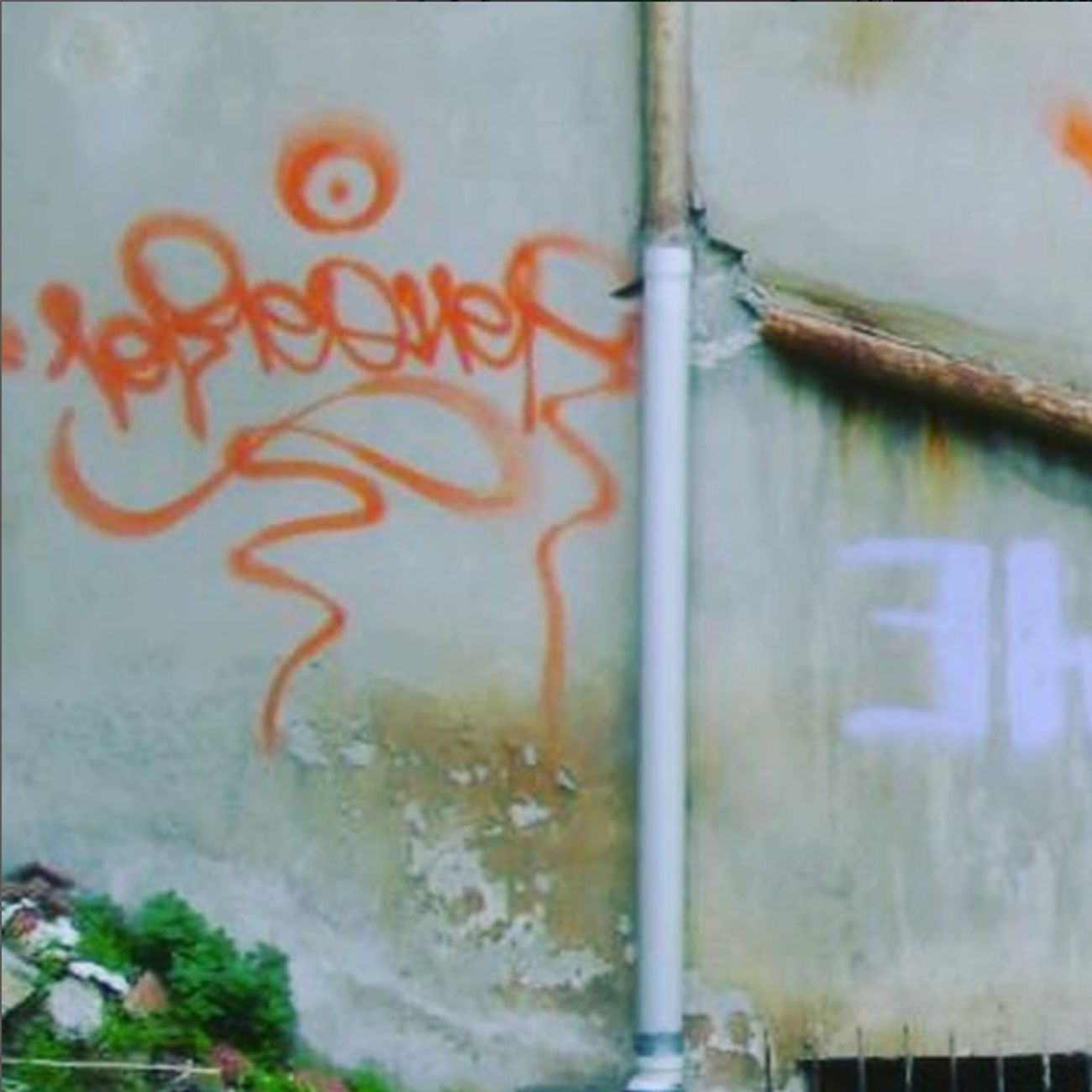 Photo #247576 by iobe1