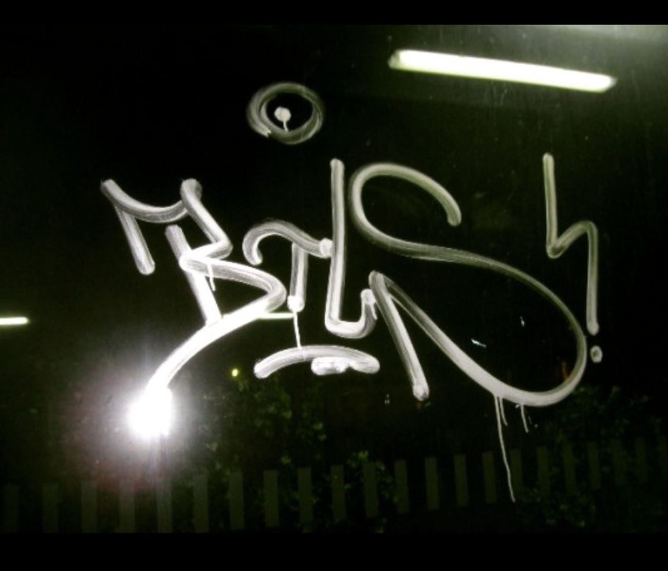 Photo #247423 by iobe1