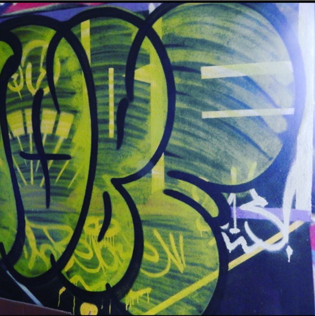 Photo #247546 by iobe1