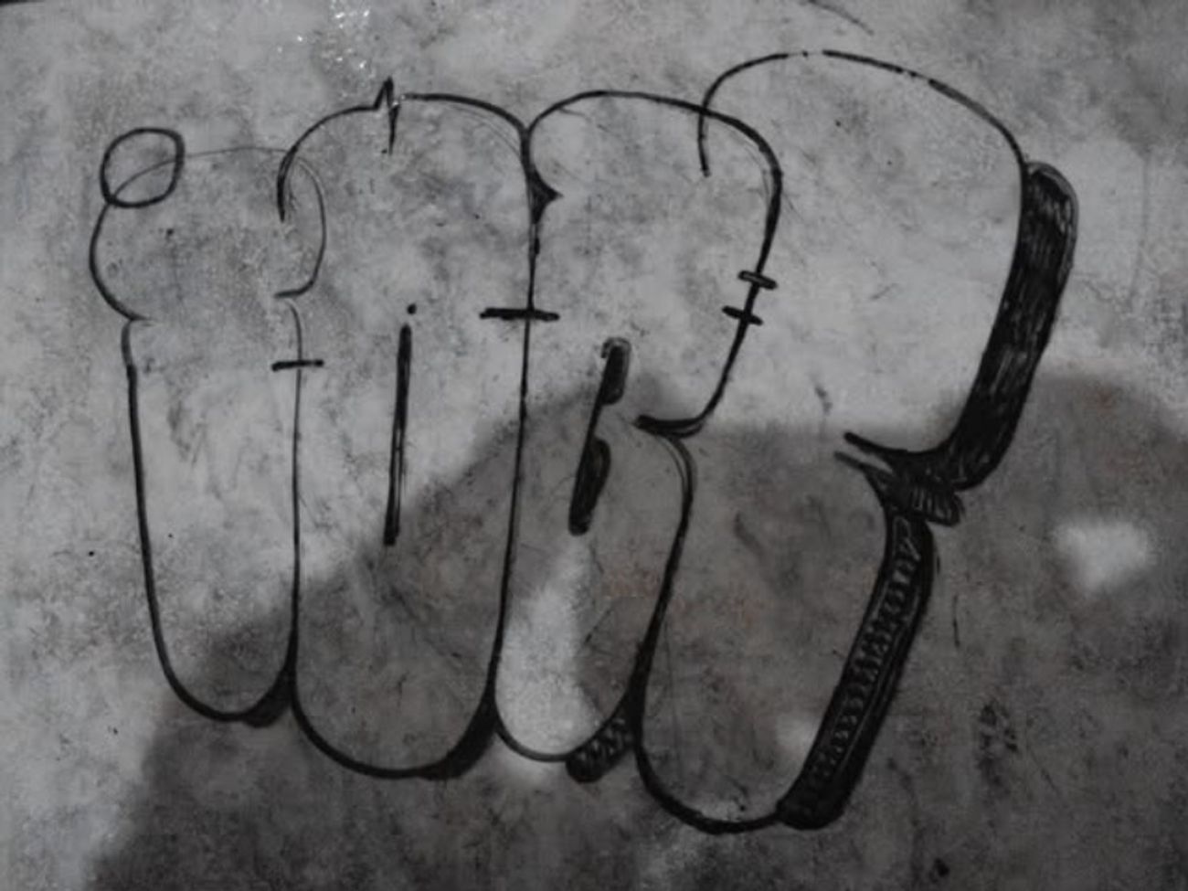 Photo #247048 by iobe1