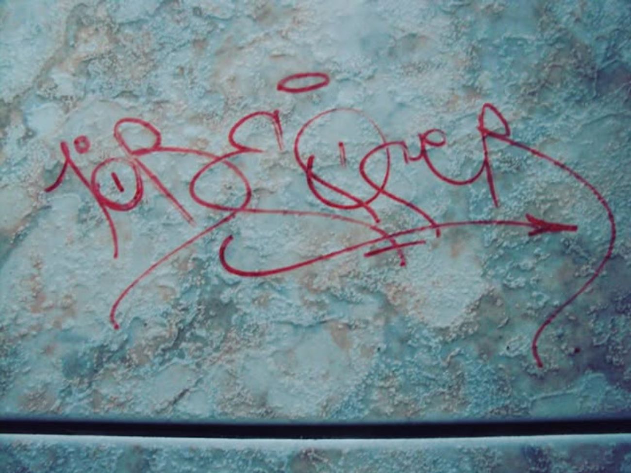 Photo #247568 by iobe1