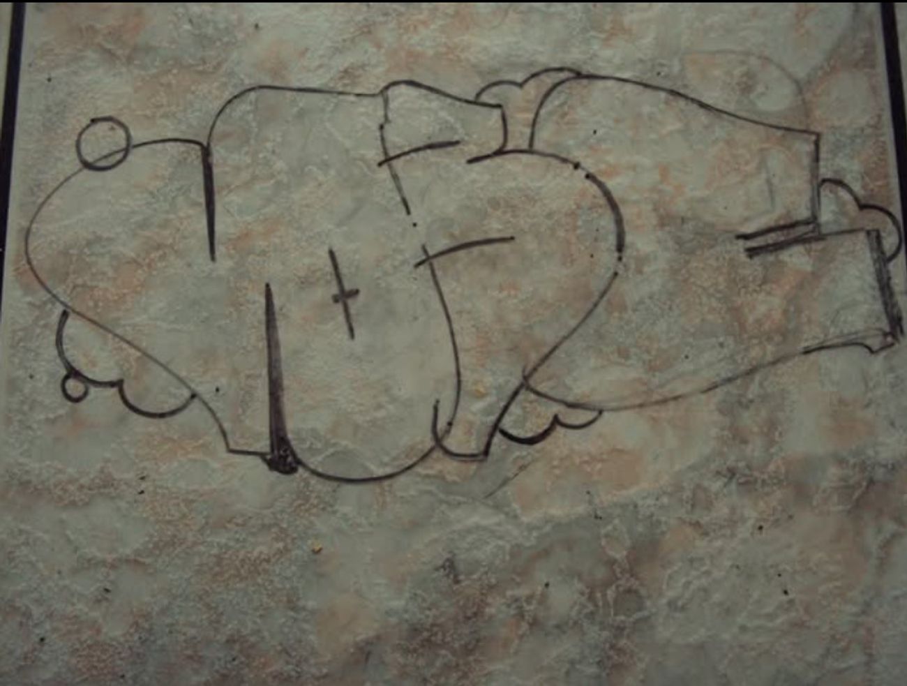 Photo #247522 by iobe1