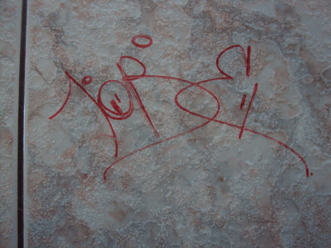 Photo #245563 by iobe1
