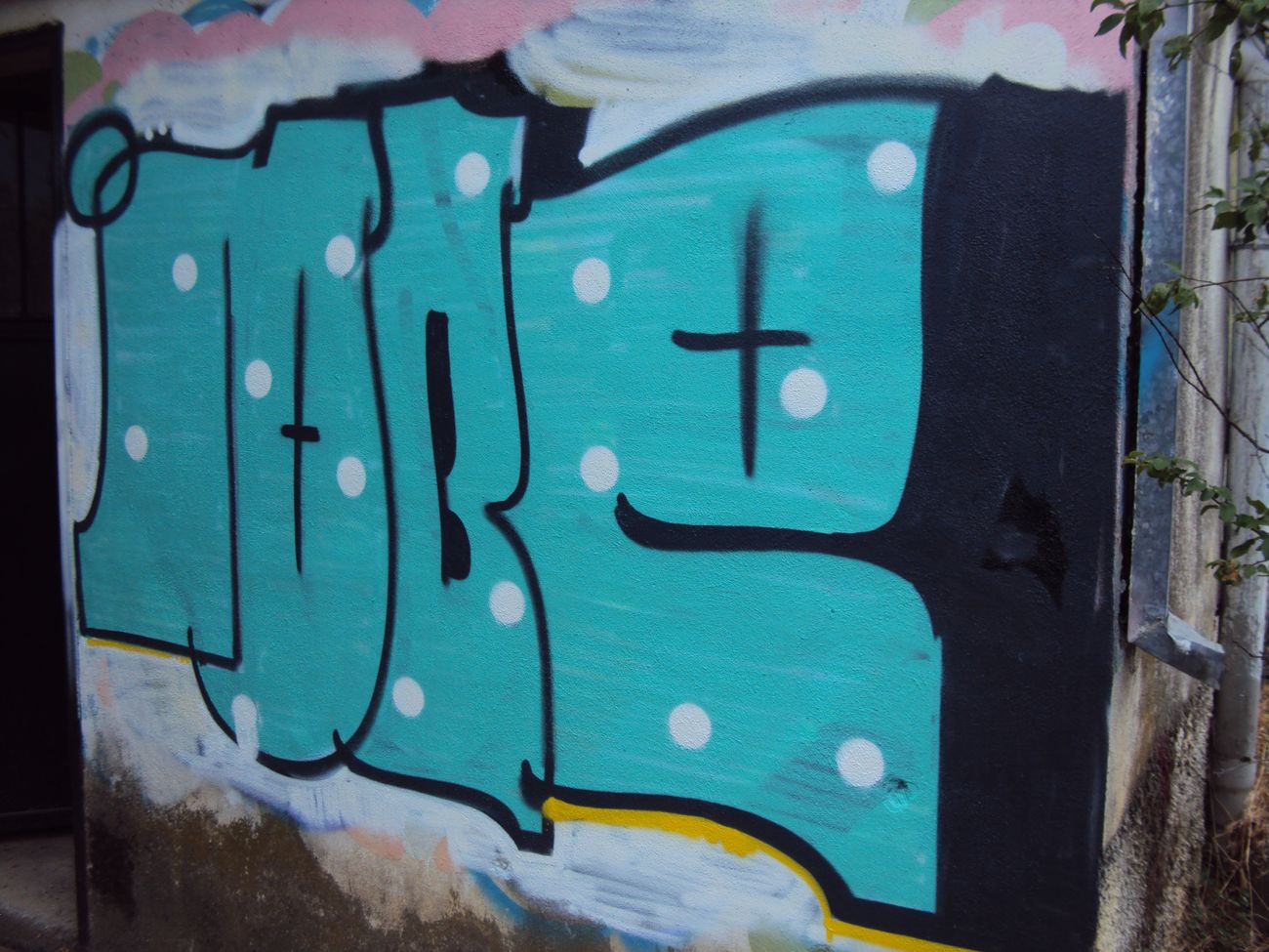 Photo #245715 by iobe1
