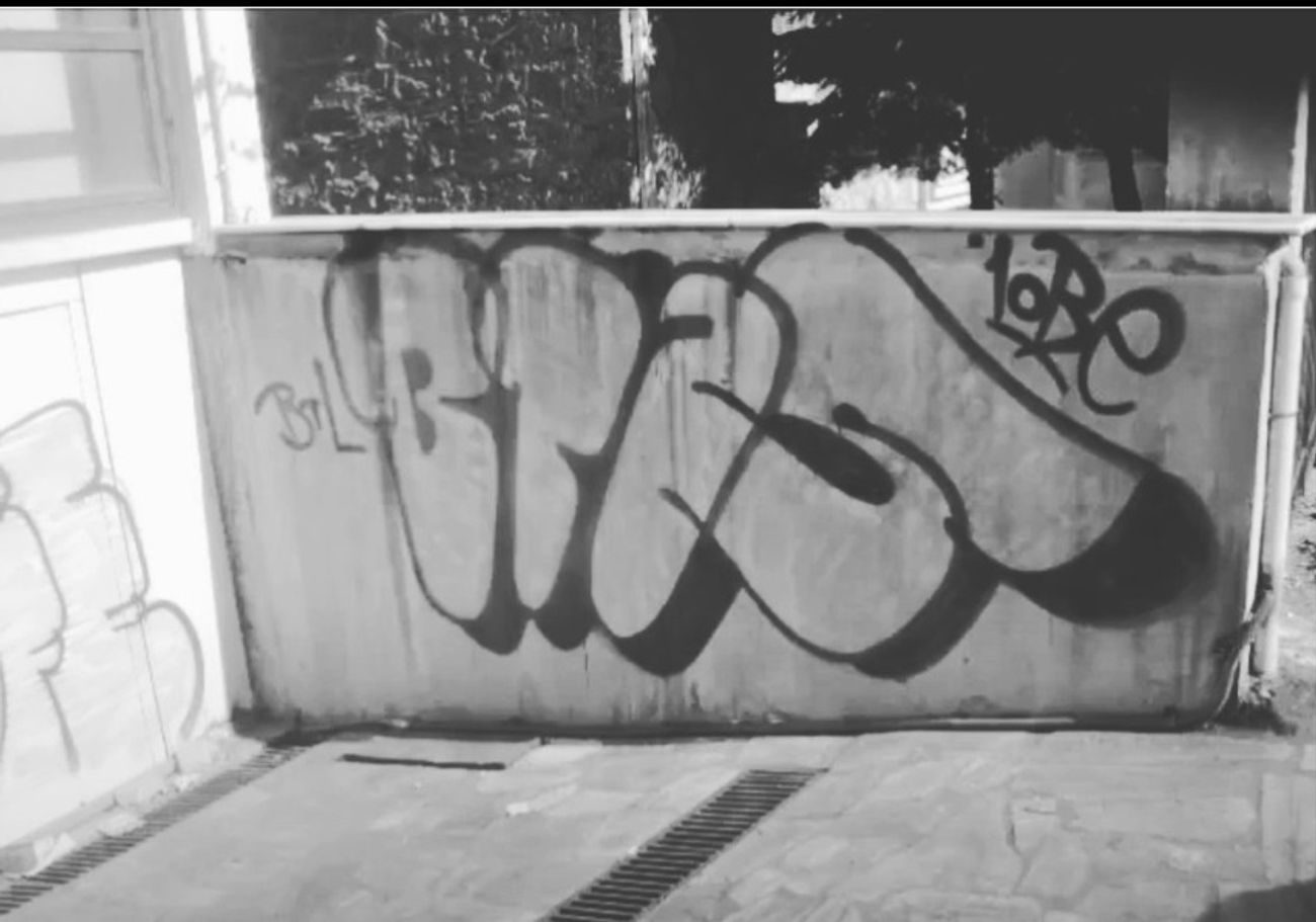 Photo #245887 by iobe1