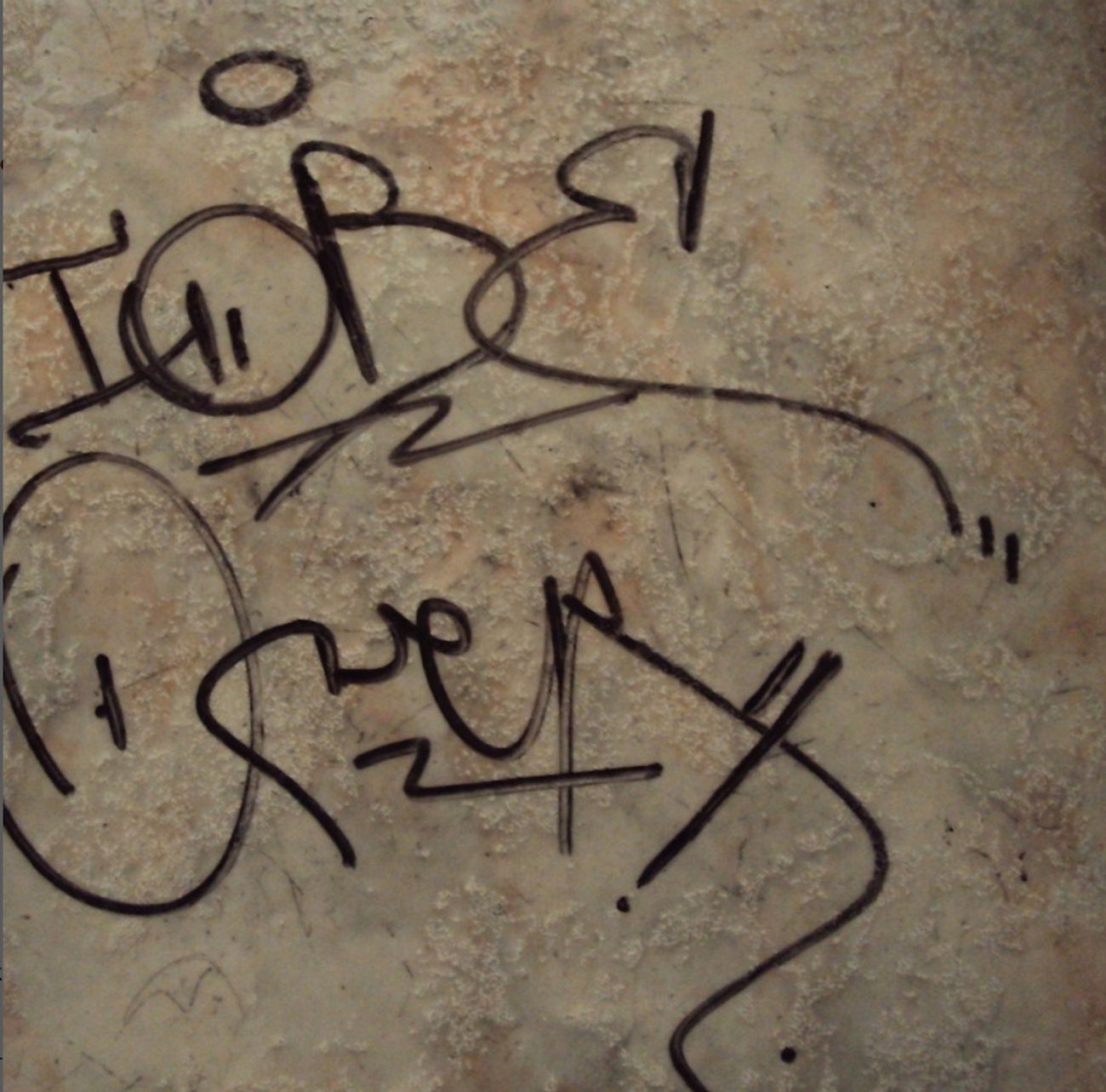 Photo #245889 by iobe1
