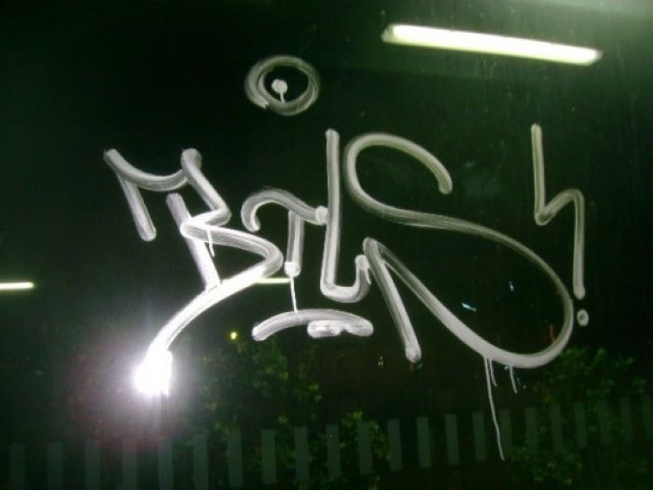 Photo #245858 by iobe1