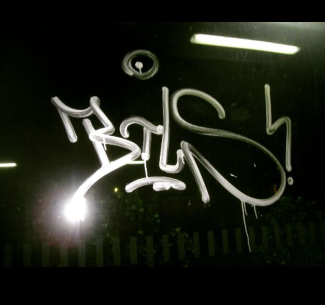 Photo #246219 by iobe1
