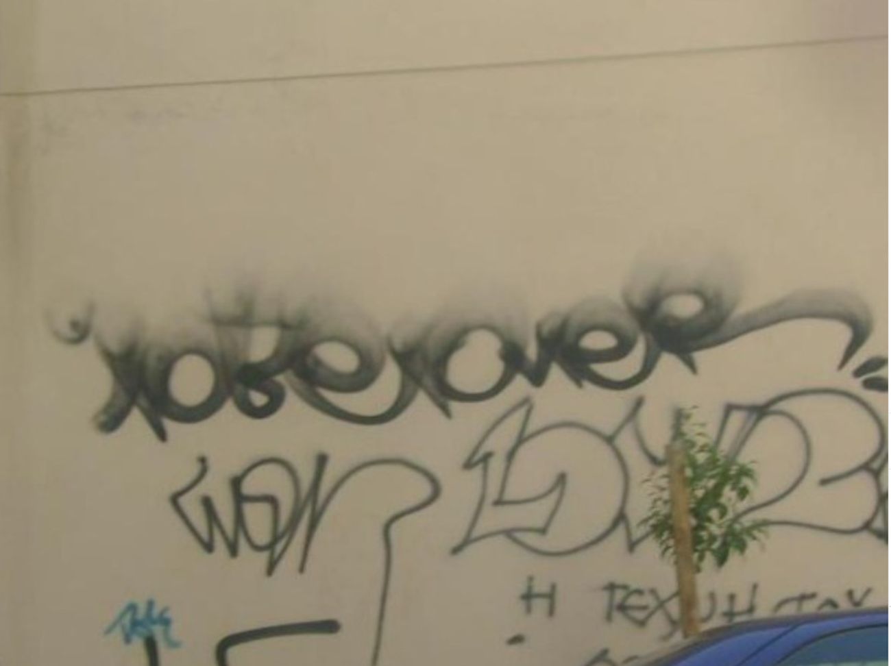 Photo #247216 by iobe1