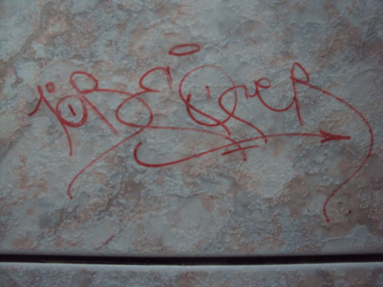 Photo #245249 by iobe1