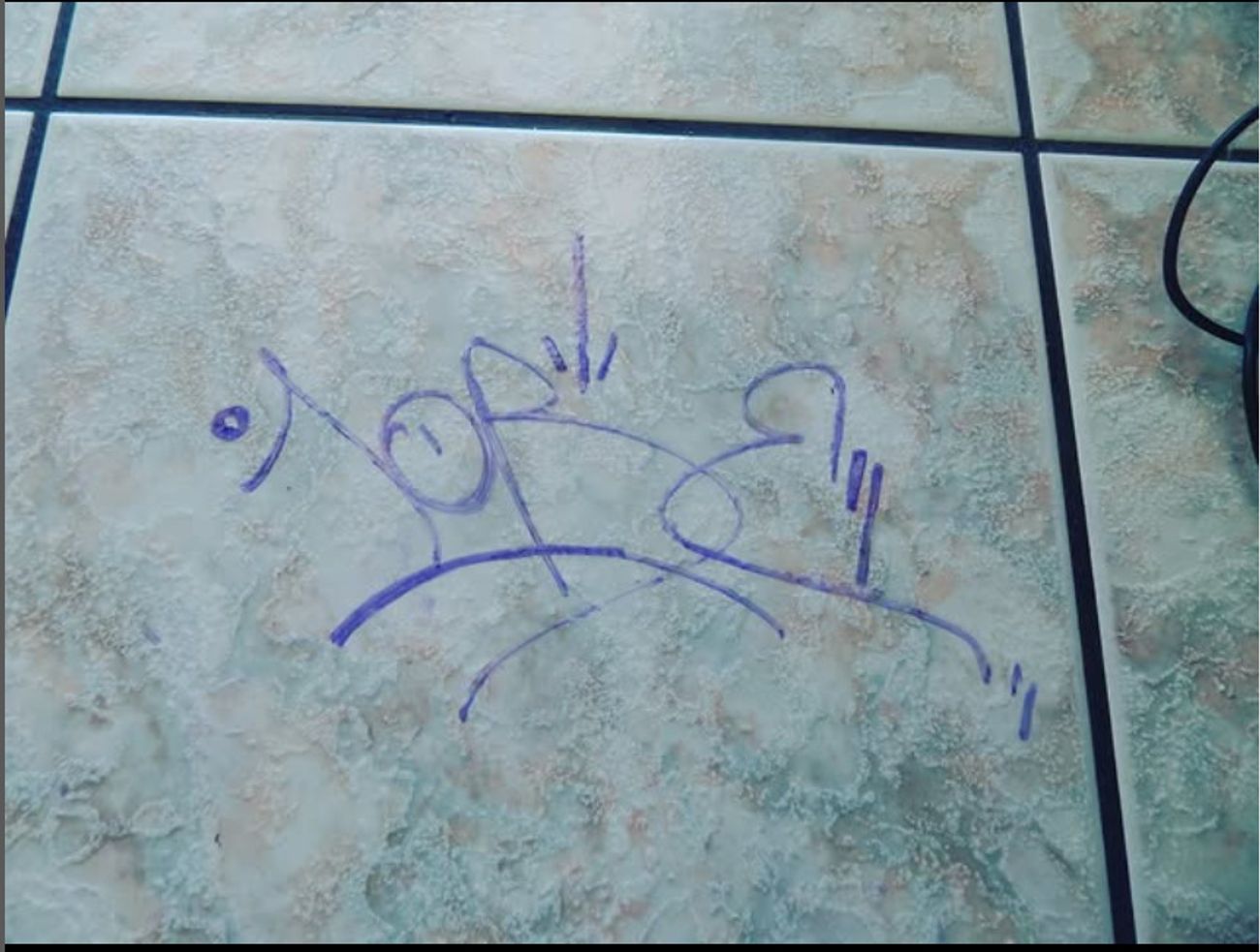 Photo #247462 by iobe1