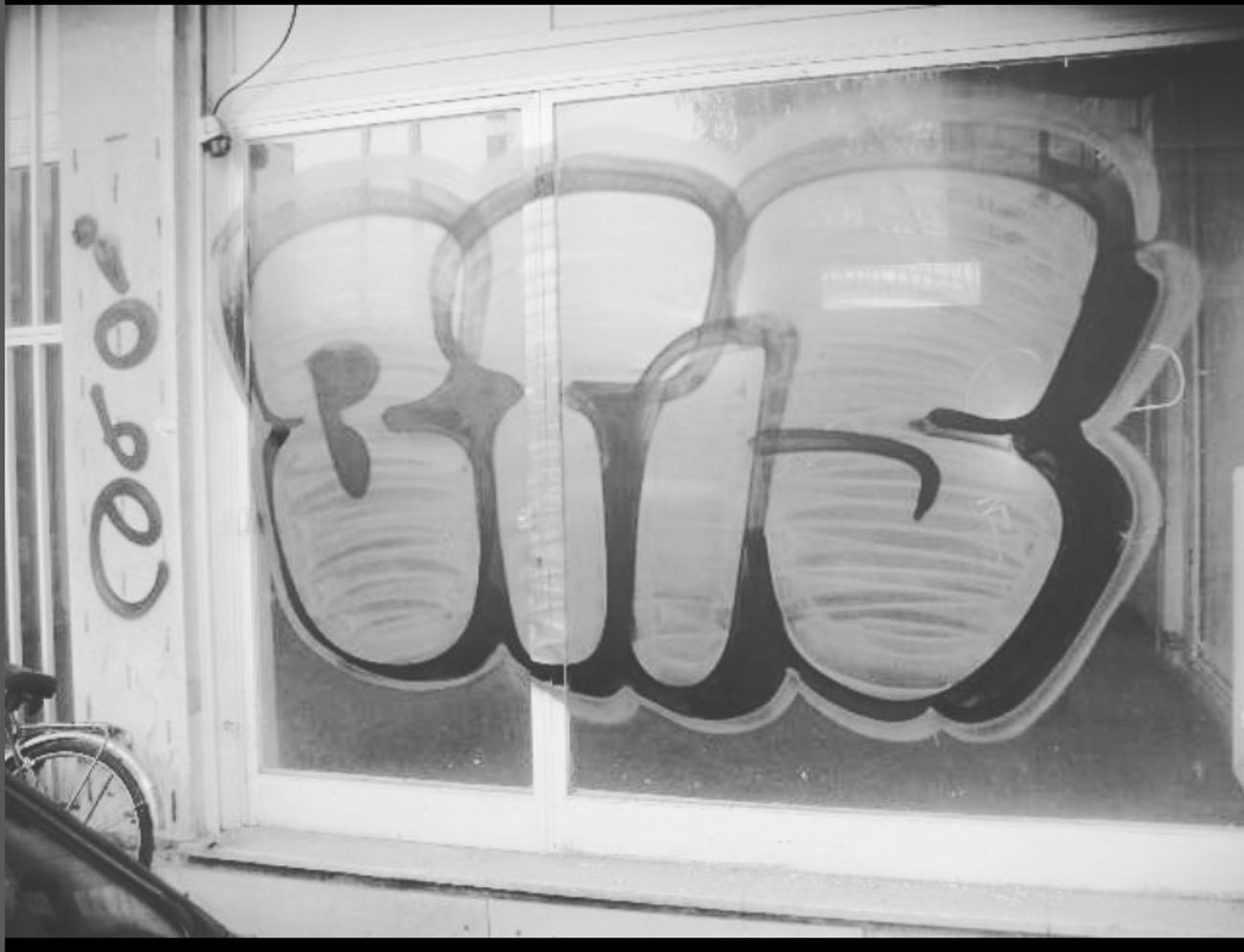 Photo #247349 by iobe1