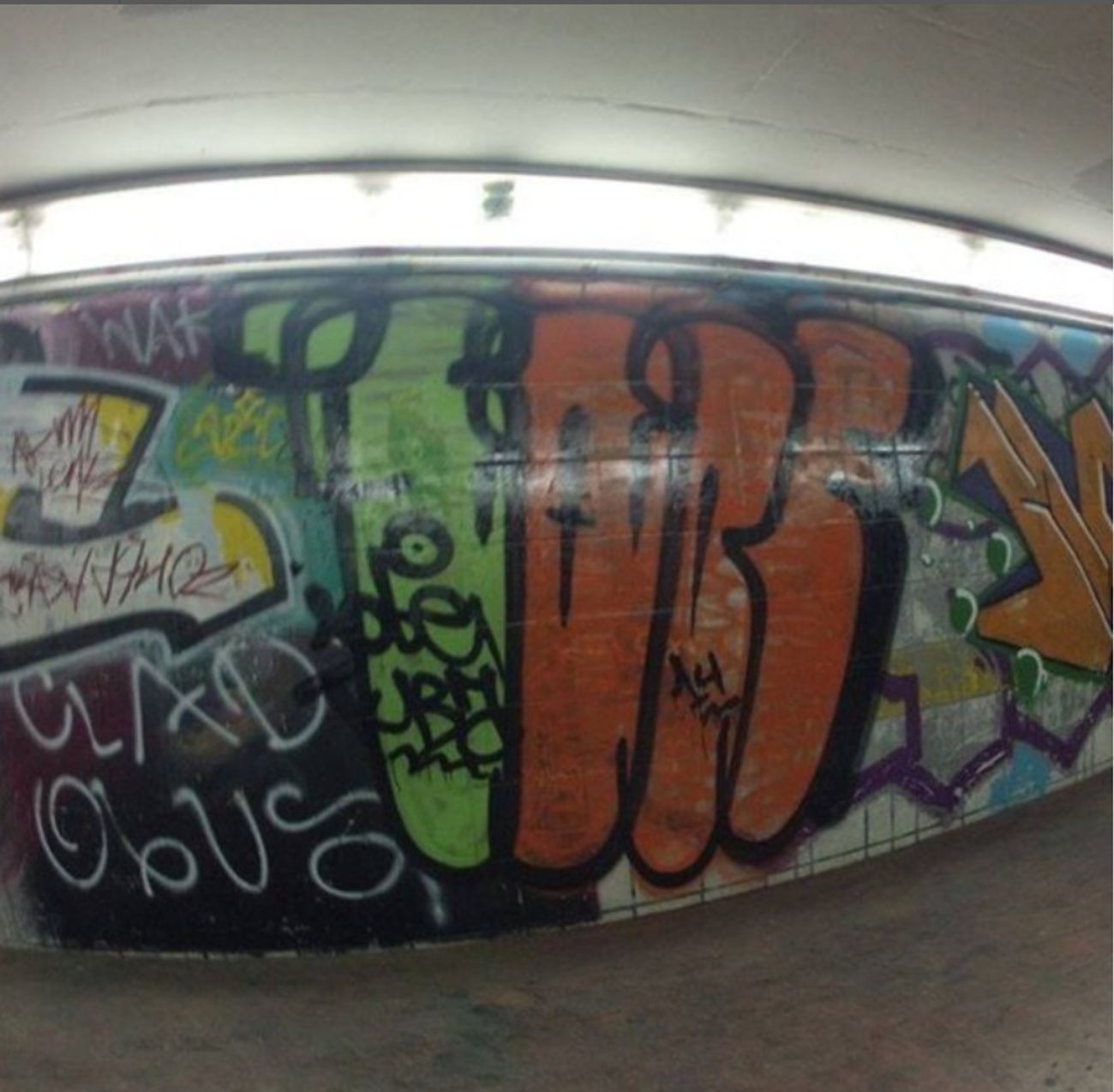 Photo #247575 by iobe1