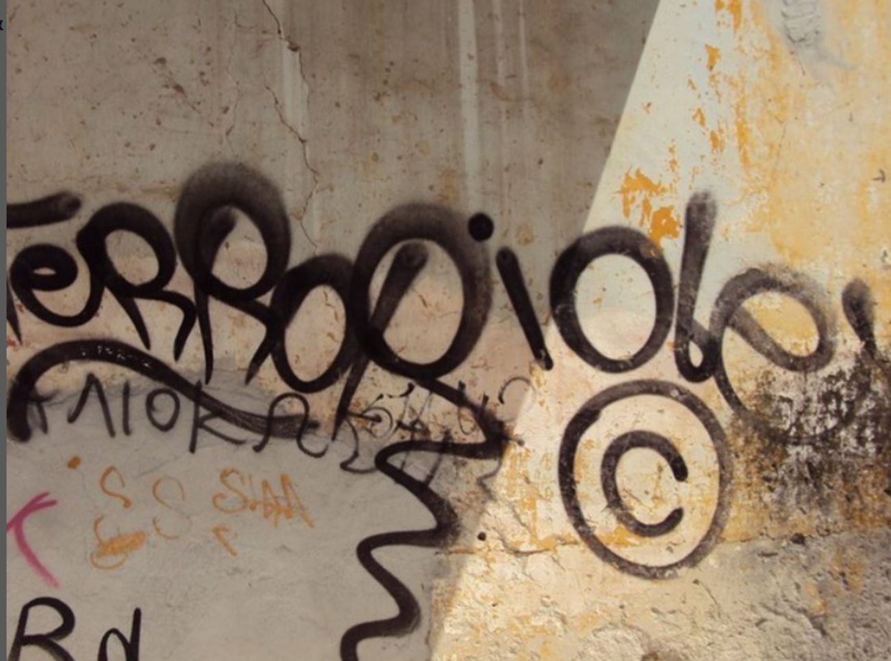 Photo #247477 by iobe1