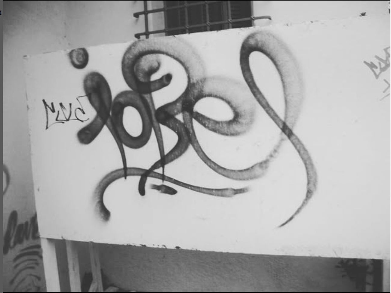 Photo #247341 by iobe1