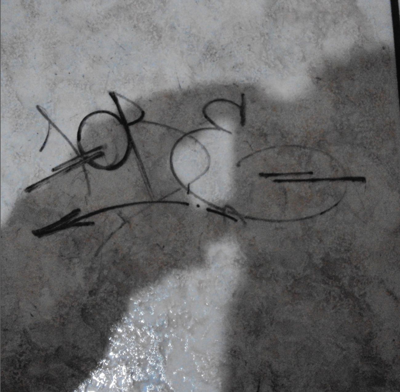 Photo #247431 by iobe1