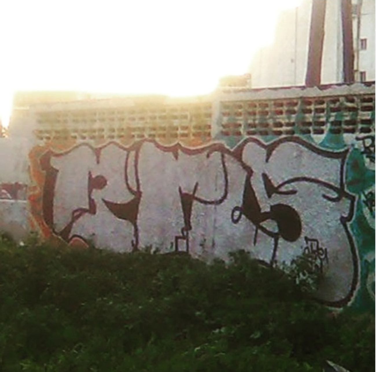 Photo #247465 by iobe1