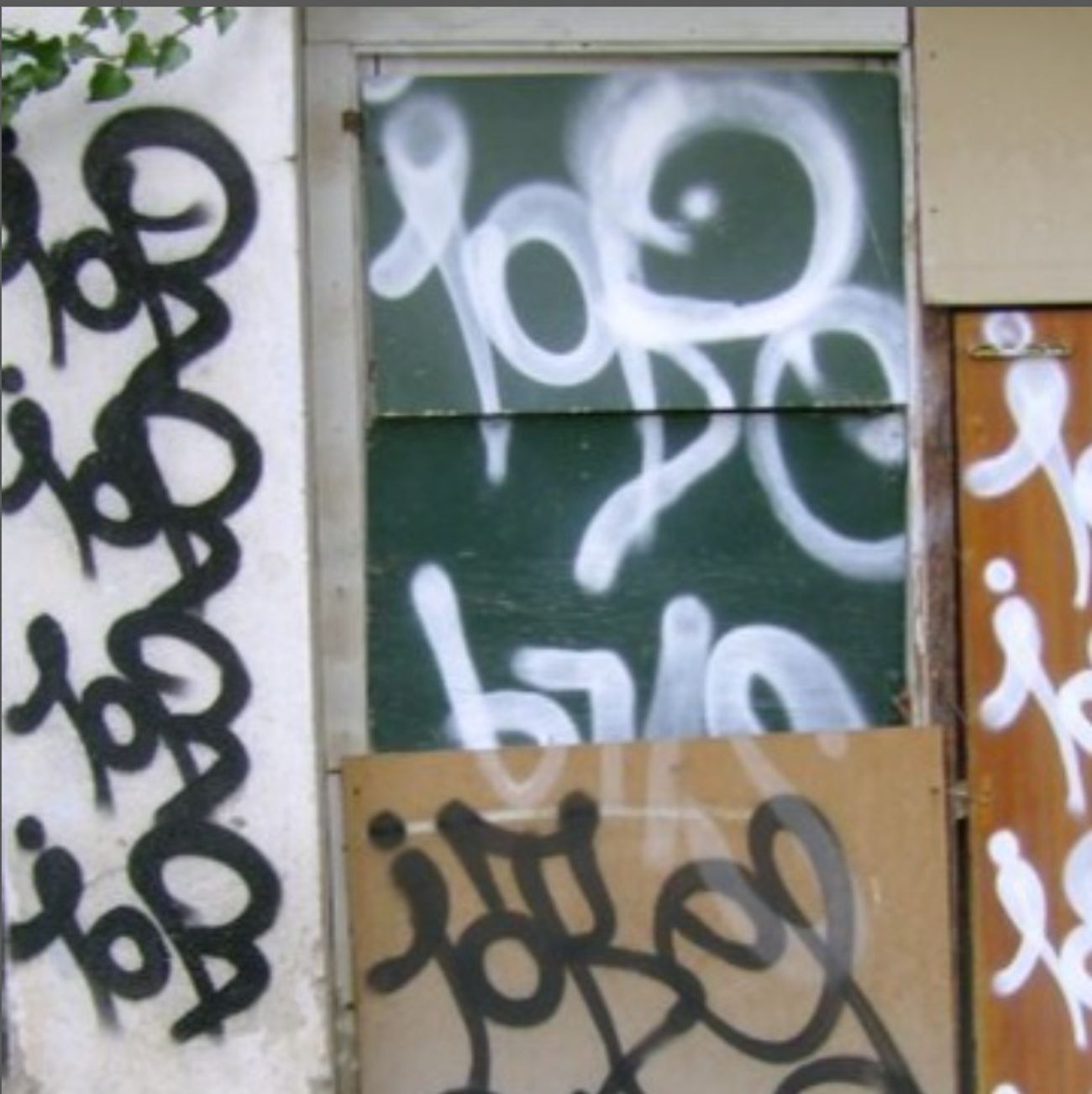 Photo #247076 by iobe1