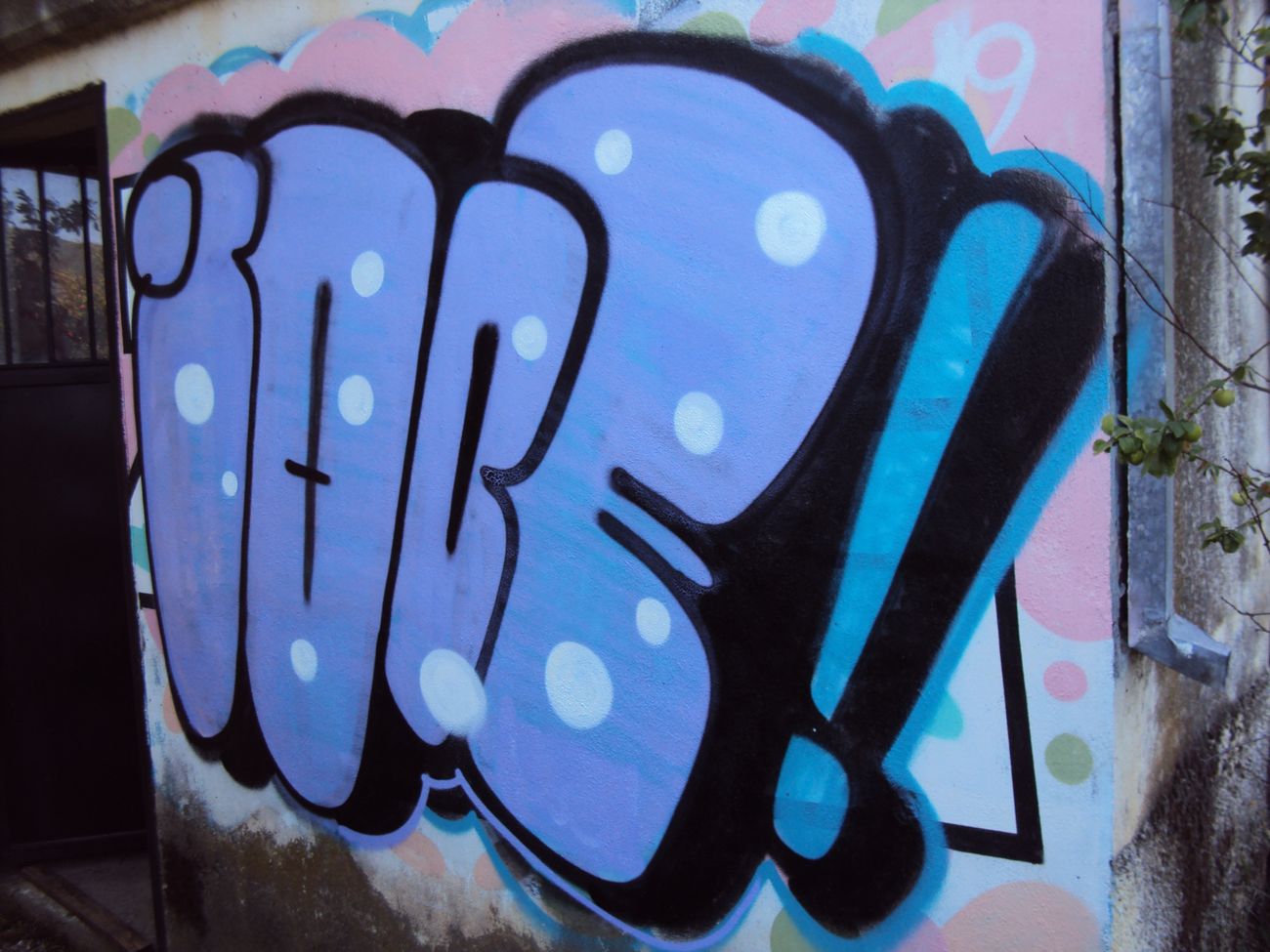 Photo #245482 by iobe1