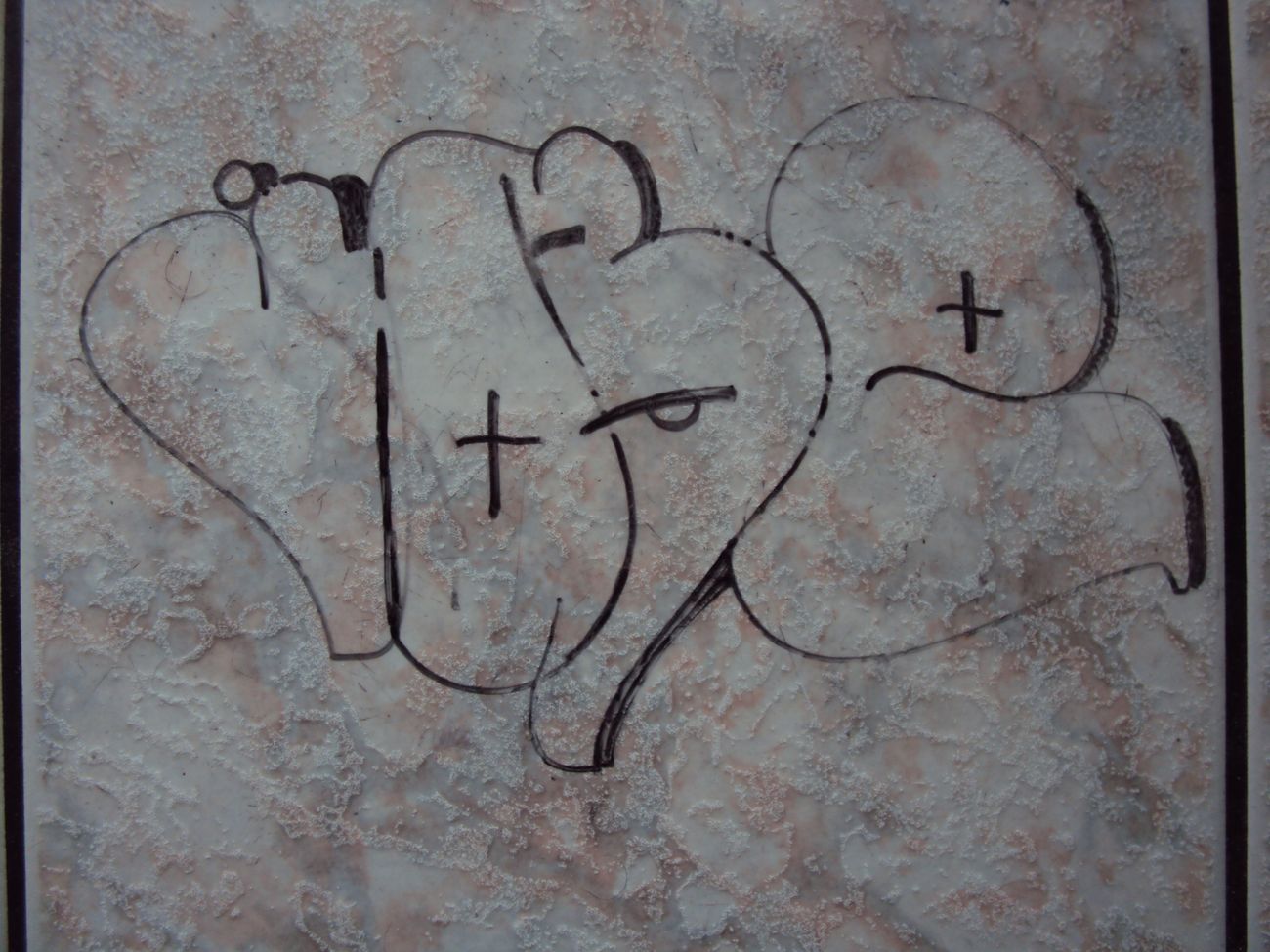 Photo #245322 by iobe1