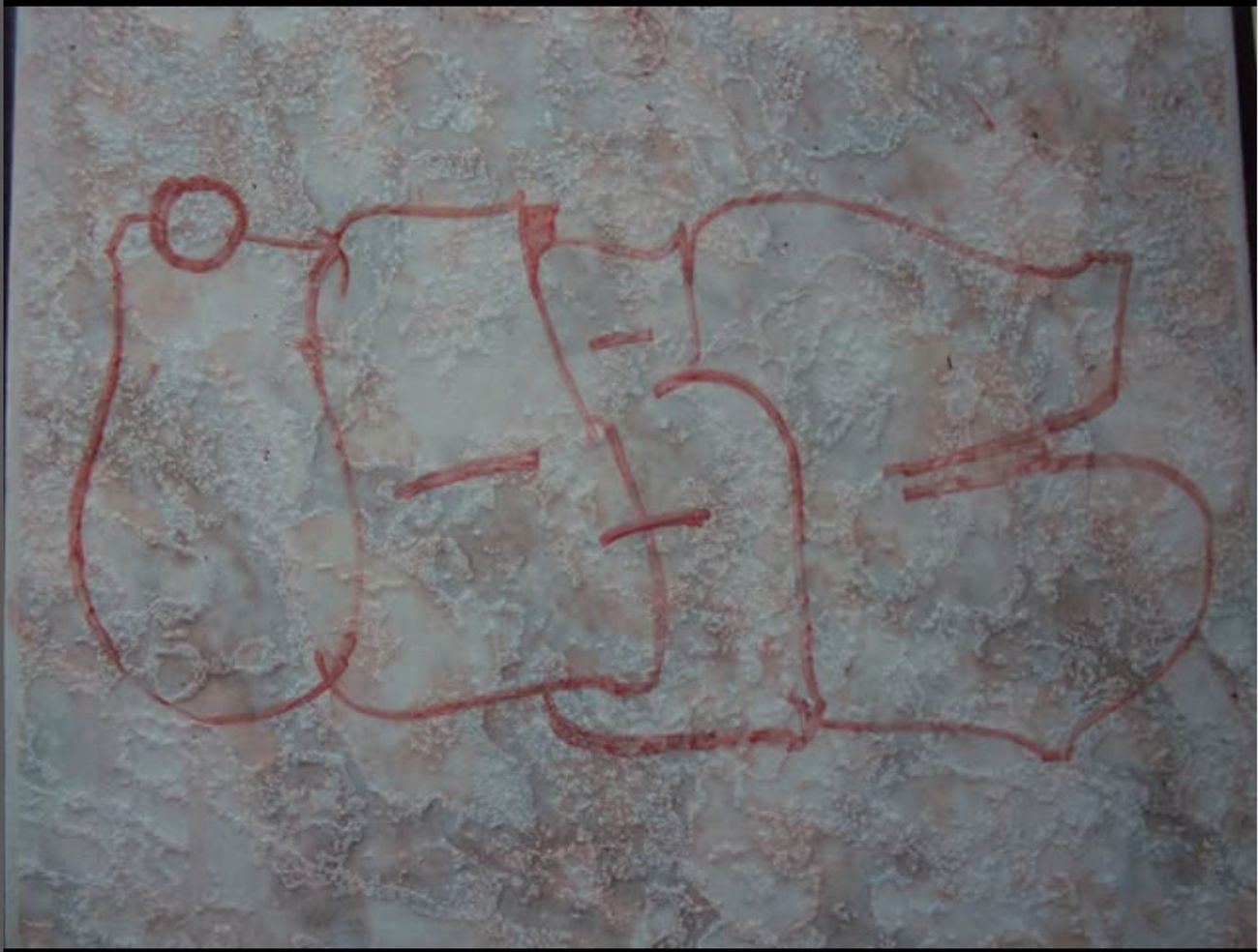 Photo #246925 by iobe1