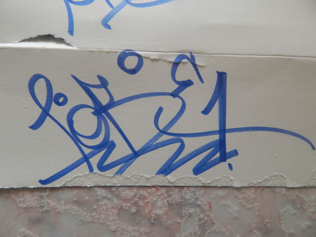 Photo #245710 by iobe1