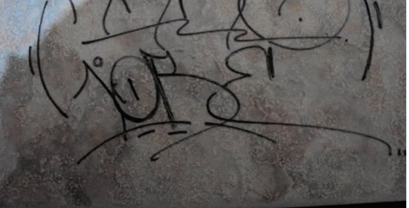 Photo #247525 by iobe1