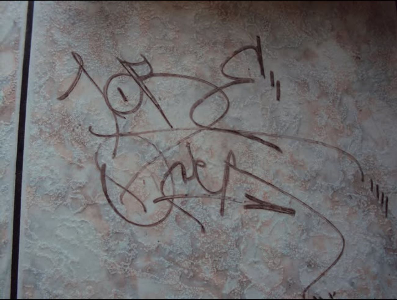 Photo #247460 by iobe1