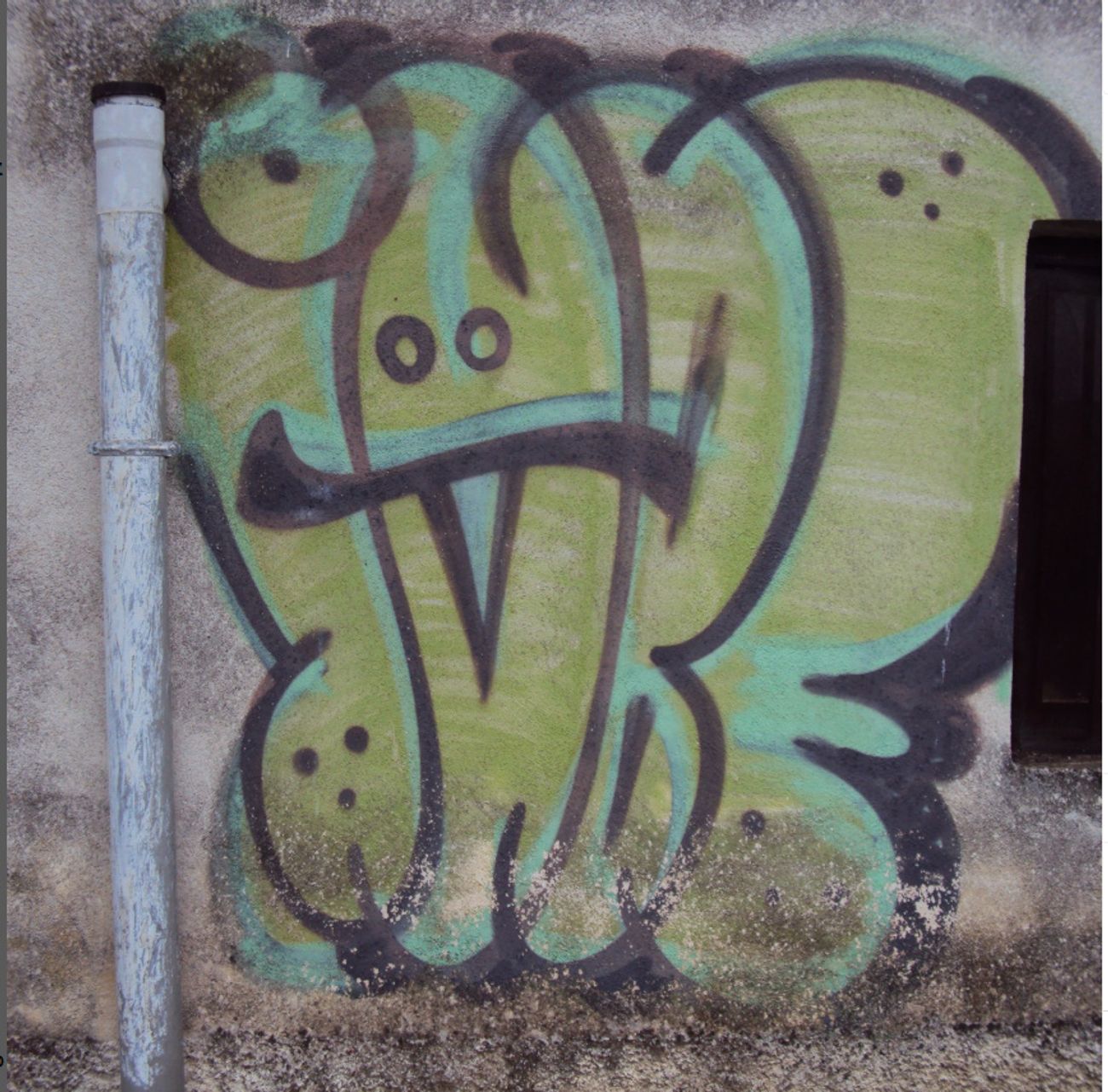 Photo #247509 by iobe1