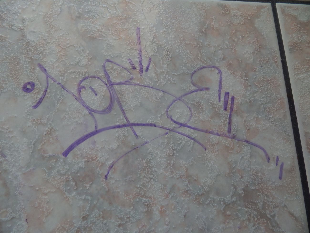Photo #245807 by iobe1