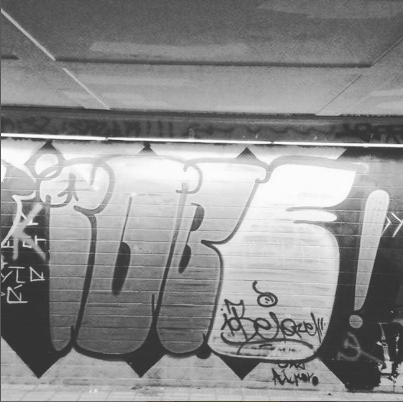 Photo #246708 by iobe1