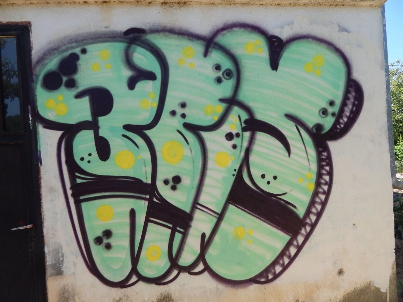 Photo #245399 by iobe1