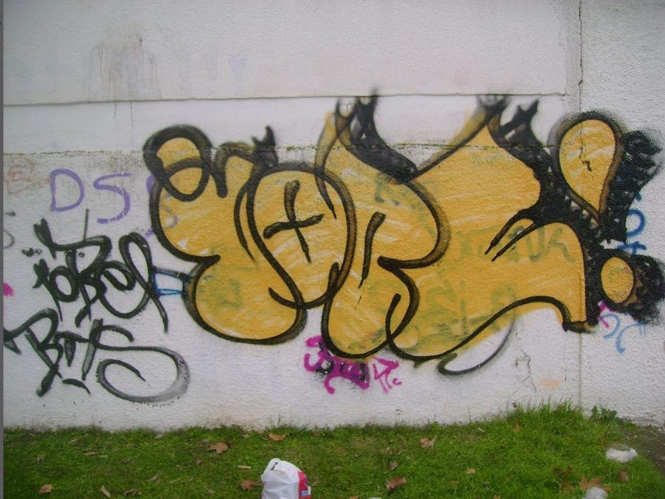 Photo #247485 by iobe1