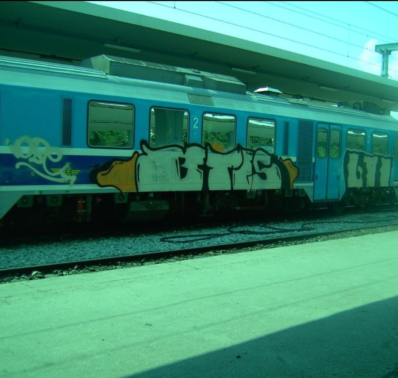 Photo #247137 by iobe1