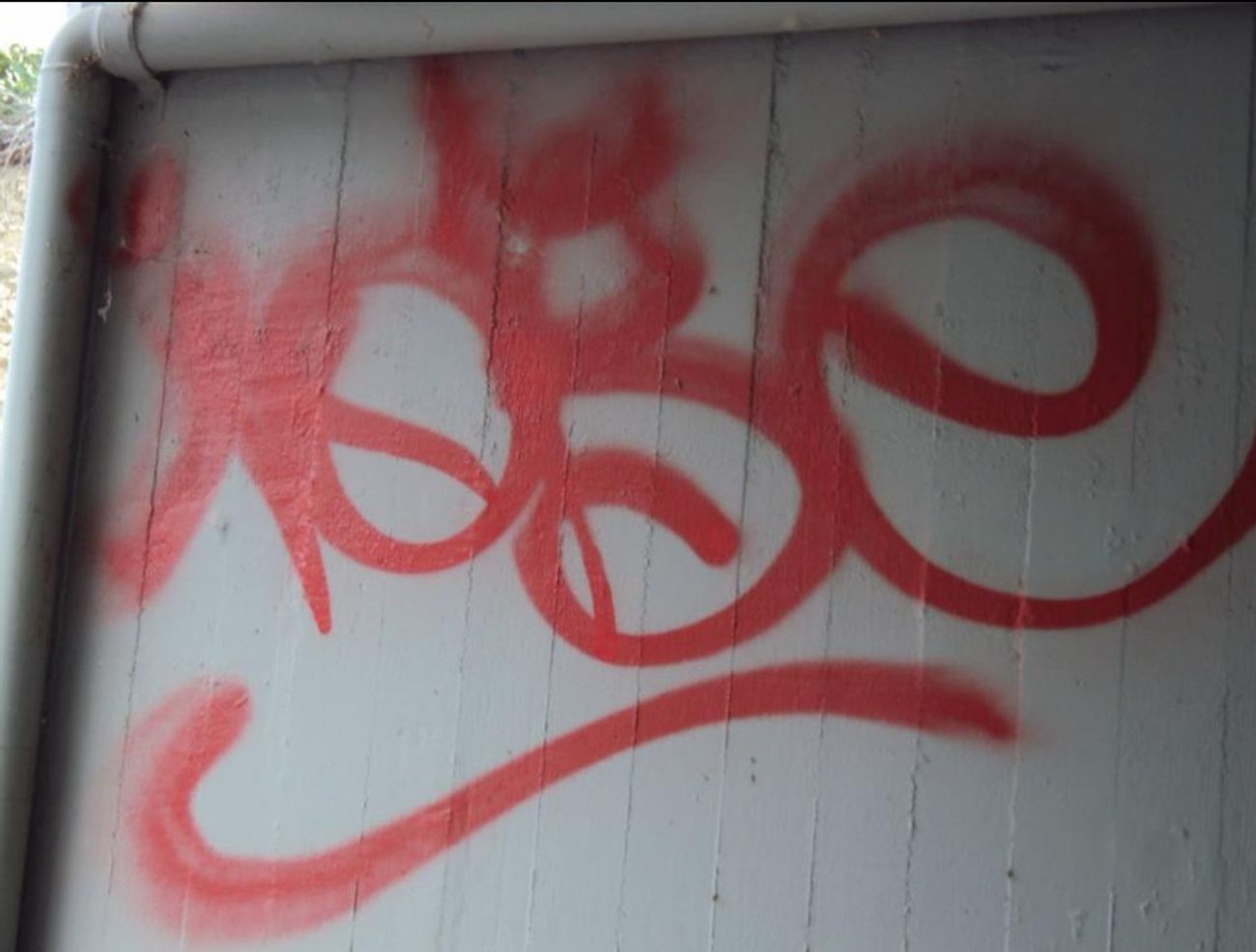 Photo #246987 by iobe1