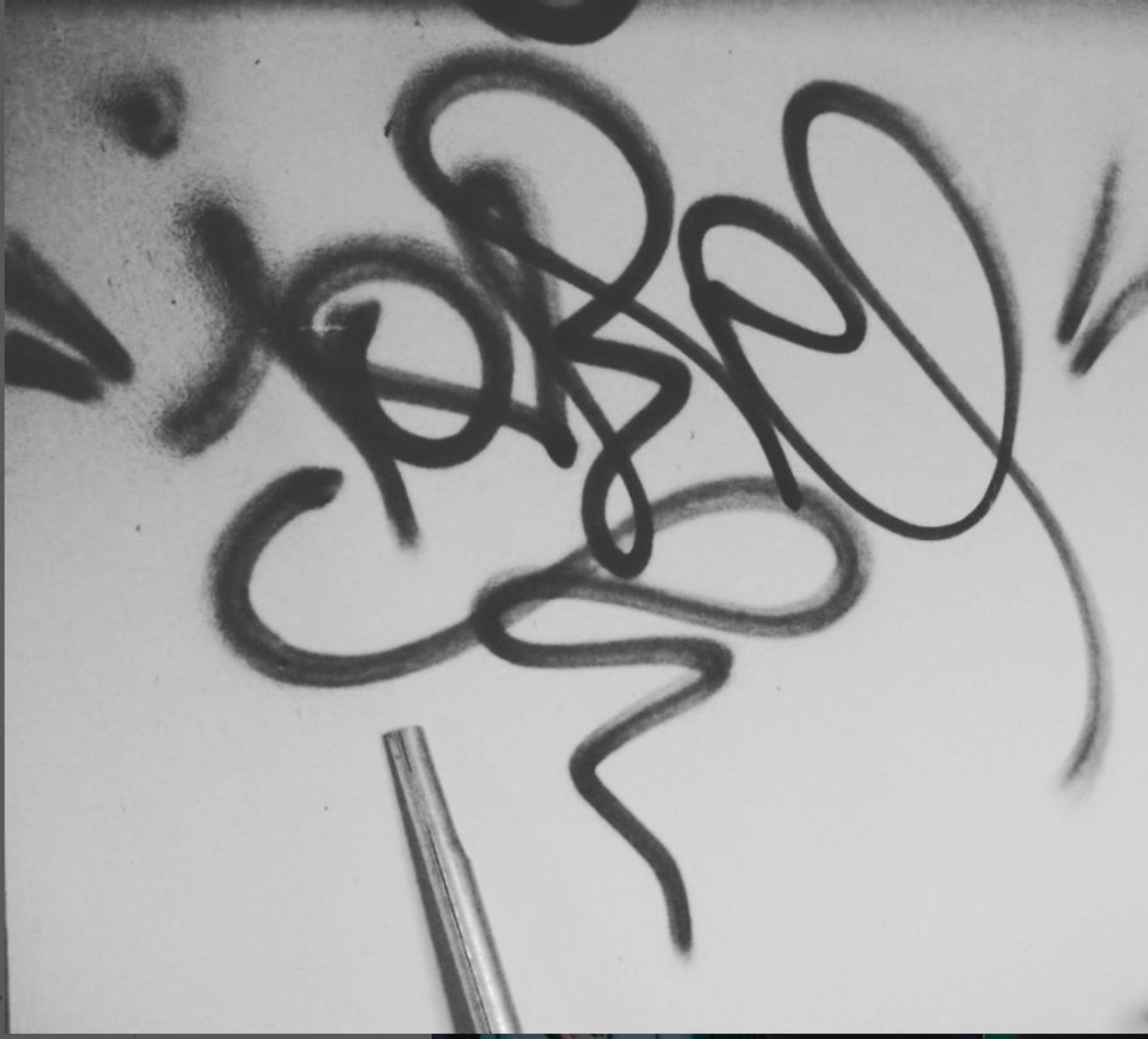 Photo #247420 by iobe1