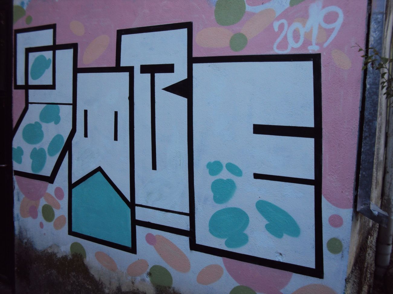 Photo #245267 by iobe1