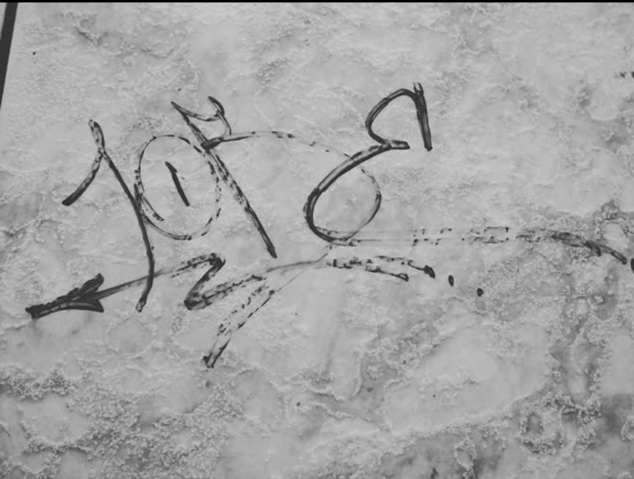 Photo #247461 by iobe1