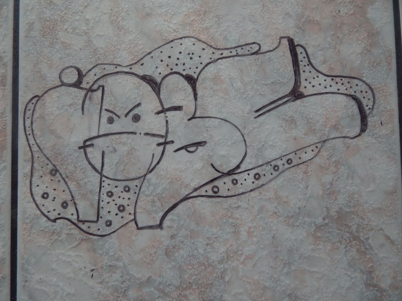 Photo #245320 by iobe1