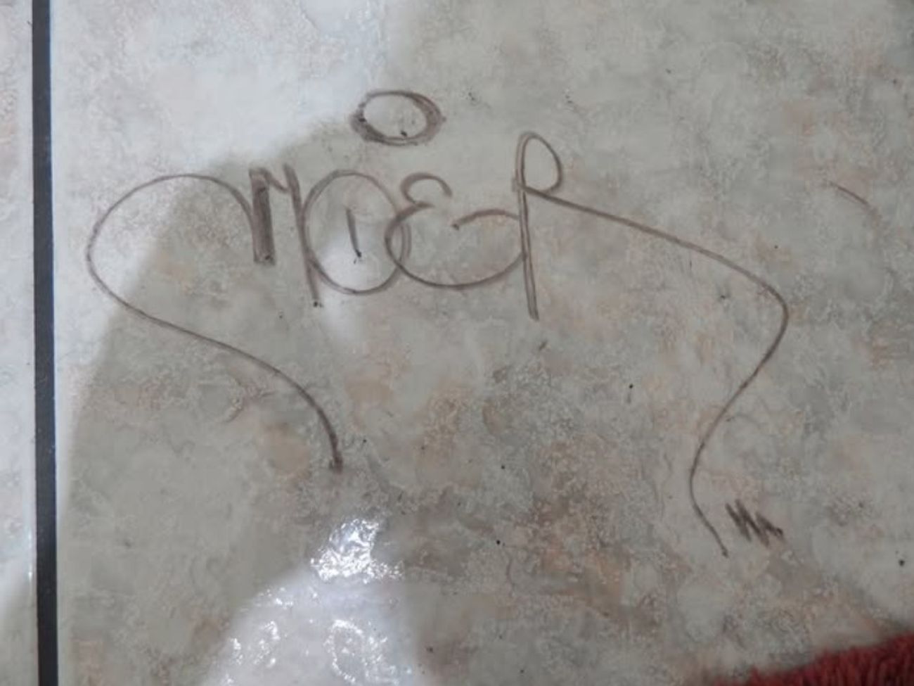 Photo #247553 by iobe1