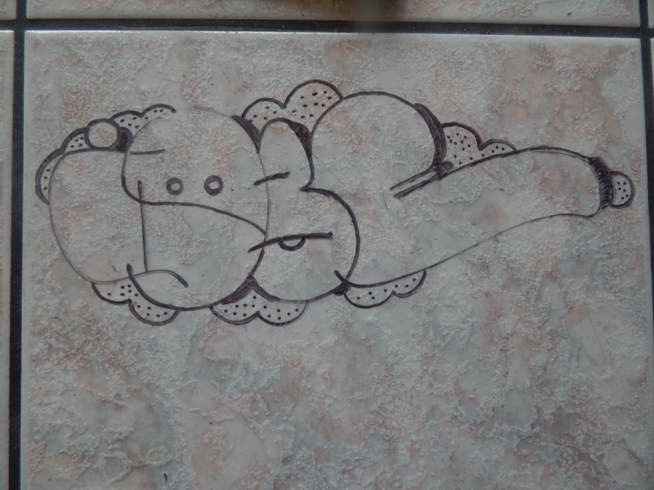 Photo #245315 by iobe1