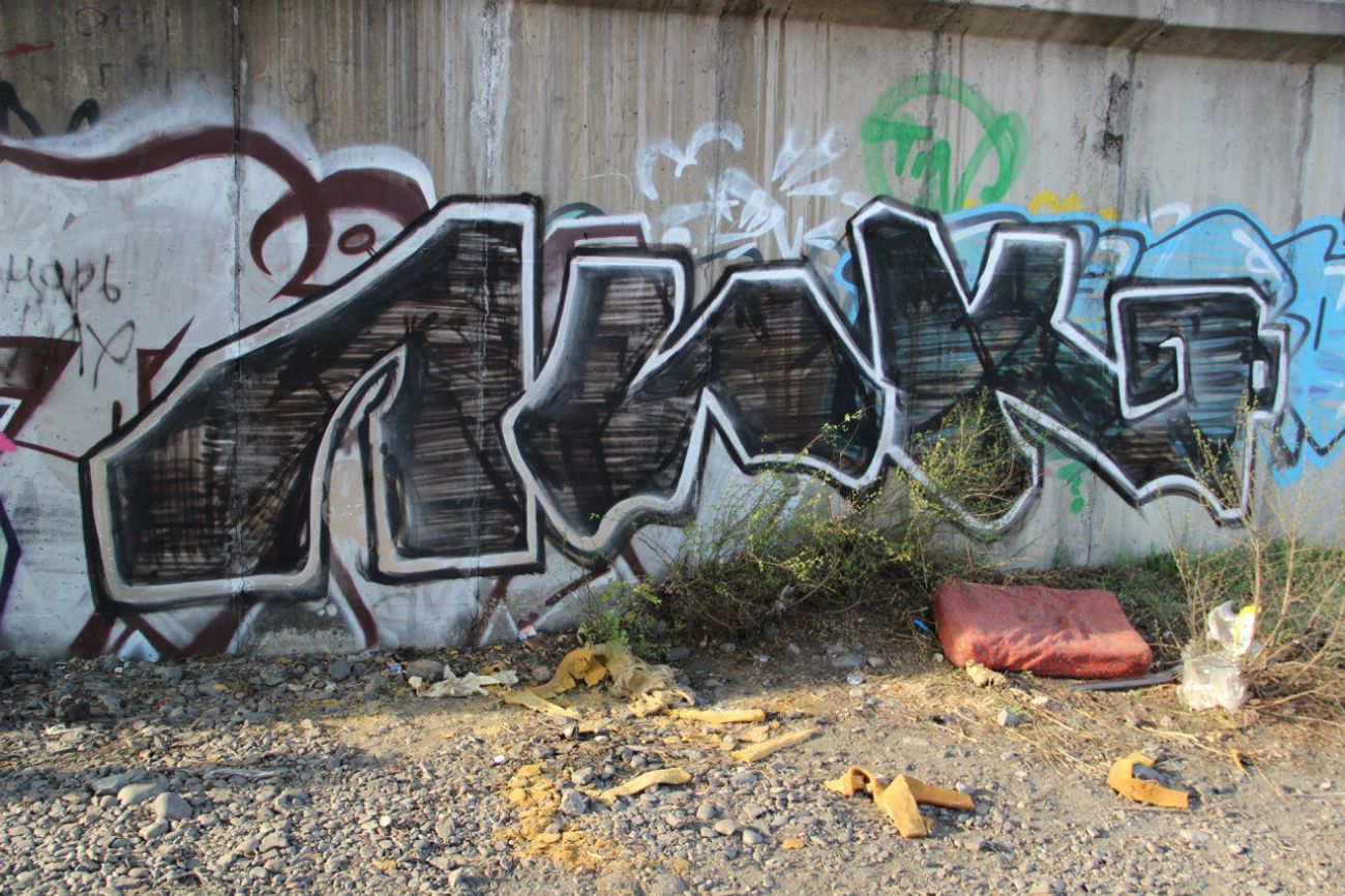 Photo #89619 by lic73