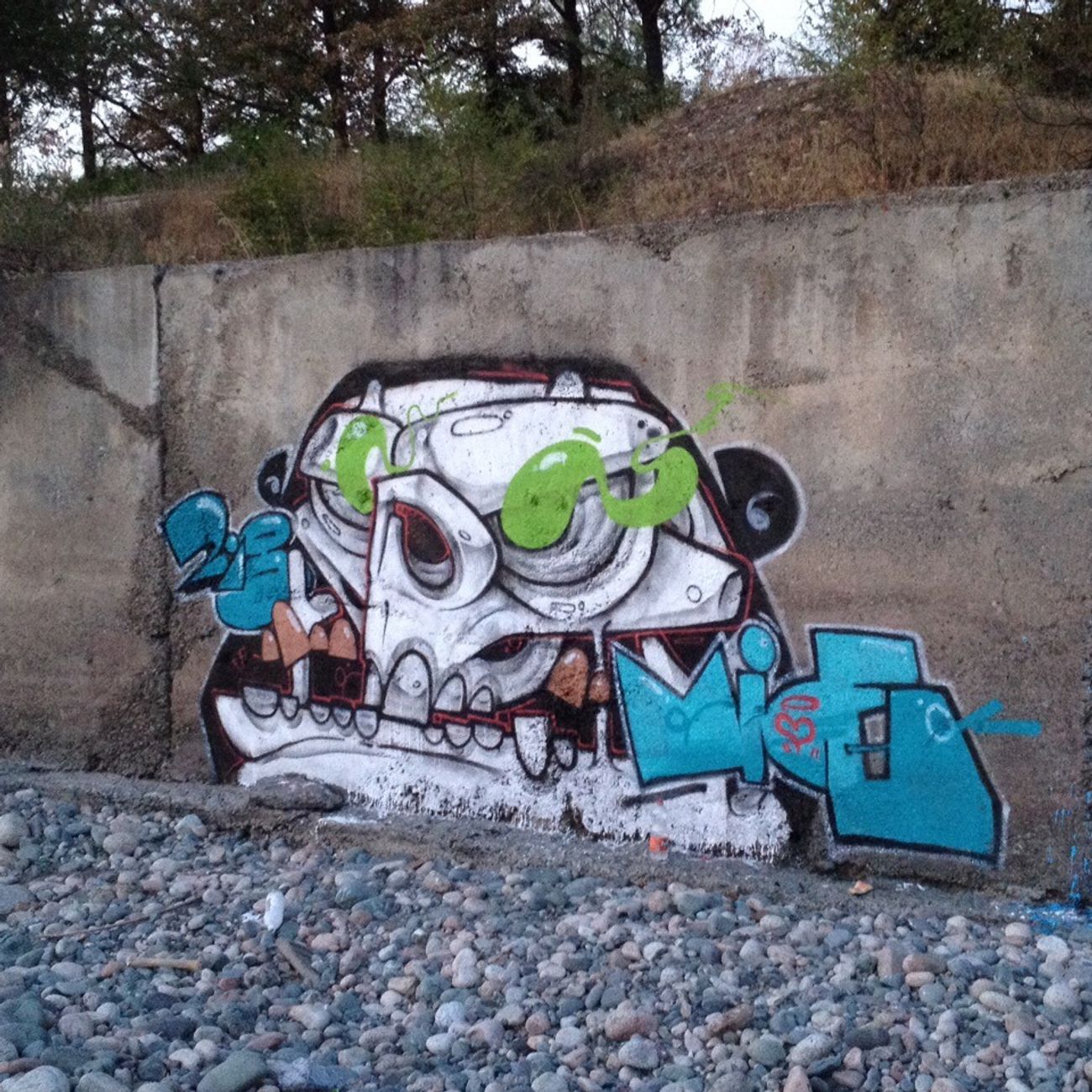 Photo #223322 by mide