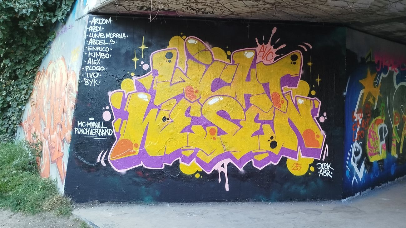 Photo #245165 by nice