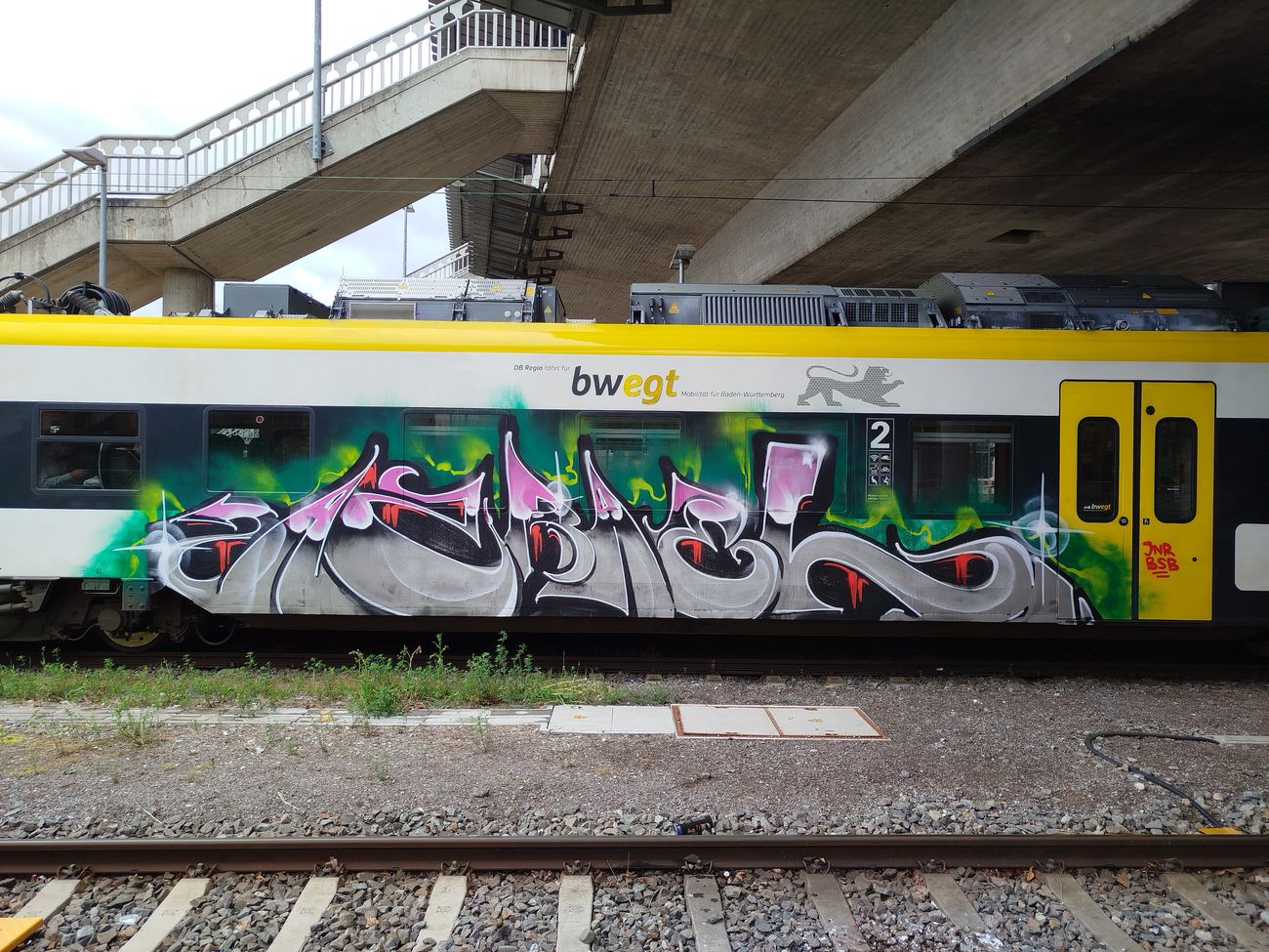Photo #245153 by nice
